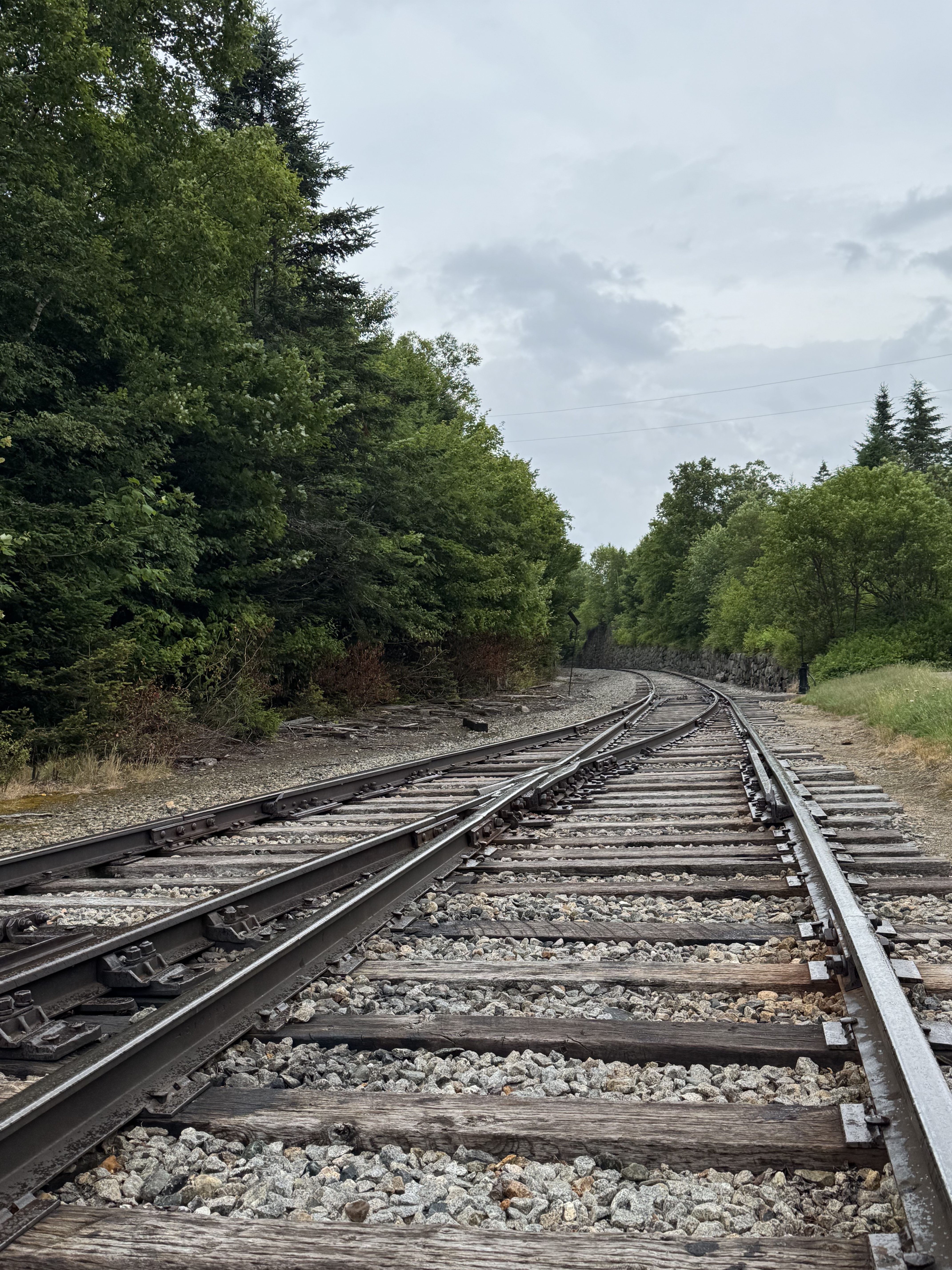 Railway tracks with wooden ties and gravel bed curving into a green forest under a cloudy sky.