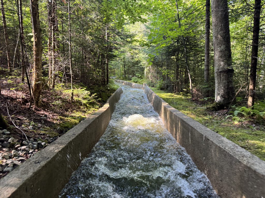 A concrete water channel rushes through a dense forest for the Yule Log Flume ride at Santa’s Village, New Hampshire.