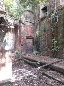 An overgrown and dilapidated interior of a building featuring exposed brick walls, scattered debris, and creeping vegetation