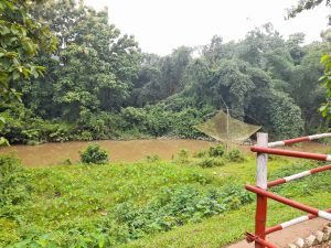 A serene river flows through a lush, green riverside with dense vegetation and muddy brown river running through it.