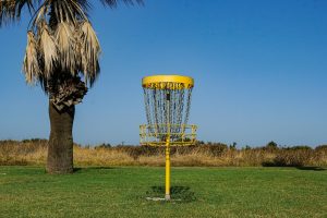 A yellow disc golf basket stands in an open grassy area, surrounded by patches of tall grass and a palm tree on the left side 