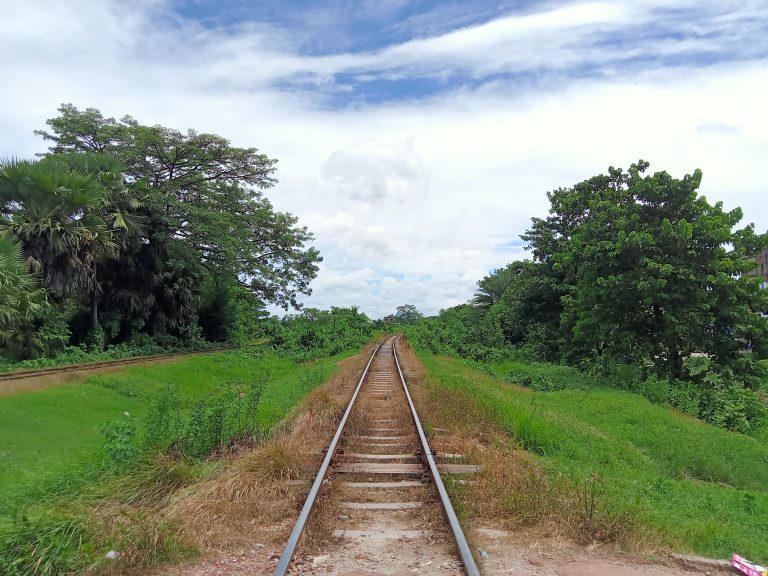 A view of a railway track stretching into the distance, bordered by lush greenery on both sides. Tall trees and dense shrubs flank the track, with grass and wild plants growing along the edges.