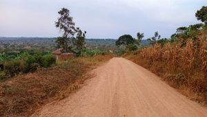 A dirt road stretches into the distance, flanked by sparse vegetation and scattered trees.