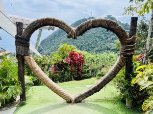 A large heart-shaped structure made of thick rope is positioned in a lush garden.
