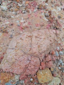 Close-up of a textured, earthy surface with reddish, cracked patterns and scattered small rocks