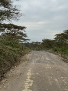 A narrow, unpaved road stretches into the distance, flanked by lush green vegetation and sparse trees.