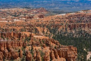 hoodoos in the Bryce amphitheater in Bryce Canyon National Park in Utah