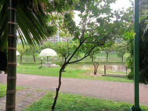 A tranquil park scene featuring a paved pathway lined with lush green grass. On the left, there is a palm tree and various leafy plants. In the background, a small lake reflects the surrounding trees and a couple of white umbrellas over seating areas can be seen. Mirpur DOHS, Dhaka, Bangladesh.