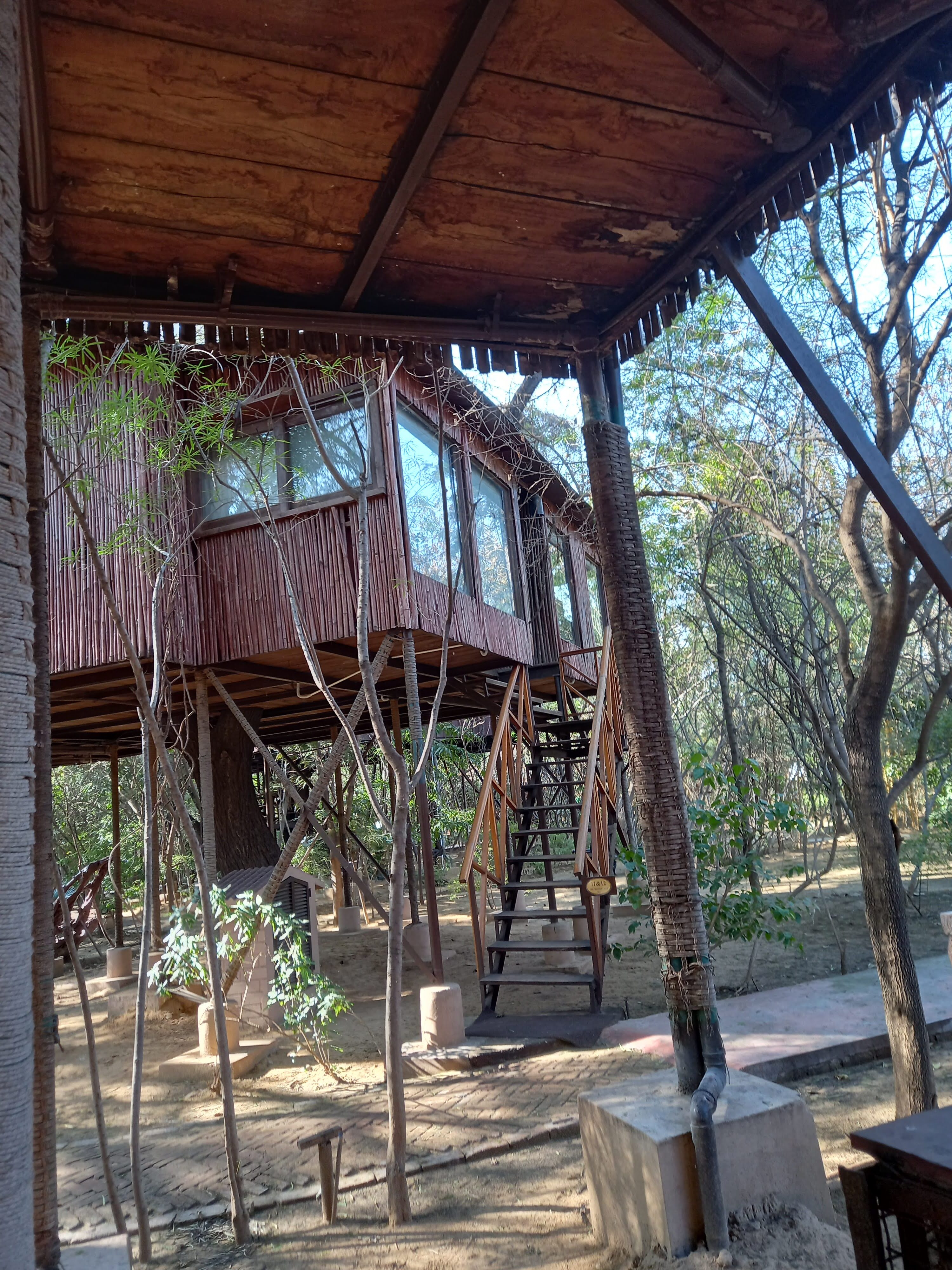 A rustic wooden treehouse-style building surrounded by trees, featuring large glass windows and an outdoor staircase. The structure blends with the natural environment, with shaded seating areas and sandy ground beneath.