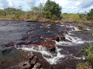 The crystal-clear waters of Caño Cristales flow over reddish rocks, creating small waterfalls surrounded by the lush vegetation of La Macarena, Colombia. This river, also known as the River of Seven Colors, showcases a unique natural spectacle that blends movement, life, and beauty
