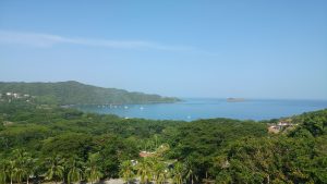 A panoramic view of a coastal landscape featuring lush green hills and trees in the foreground, leading down to a serene blue ocean.
