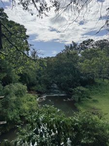A tranquil stream winds its way through a lush, green landscape, with dense foliage and trees lining its banks. A small cascade is visible on the left side of the stream. The sky above is a mix of blue and white, with puffy clouds