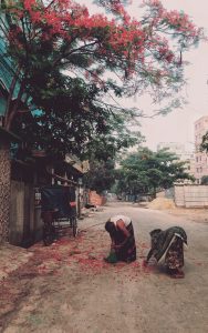 Two individuals are seen bending over a street scattered with fallen red flowers. One person, is dressed in a white sleeveless shirt and traditional skirt, while the other, in in a patterned shawl, both are collecting flowers. 
