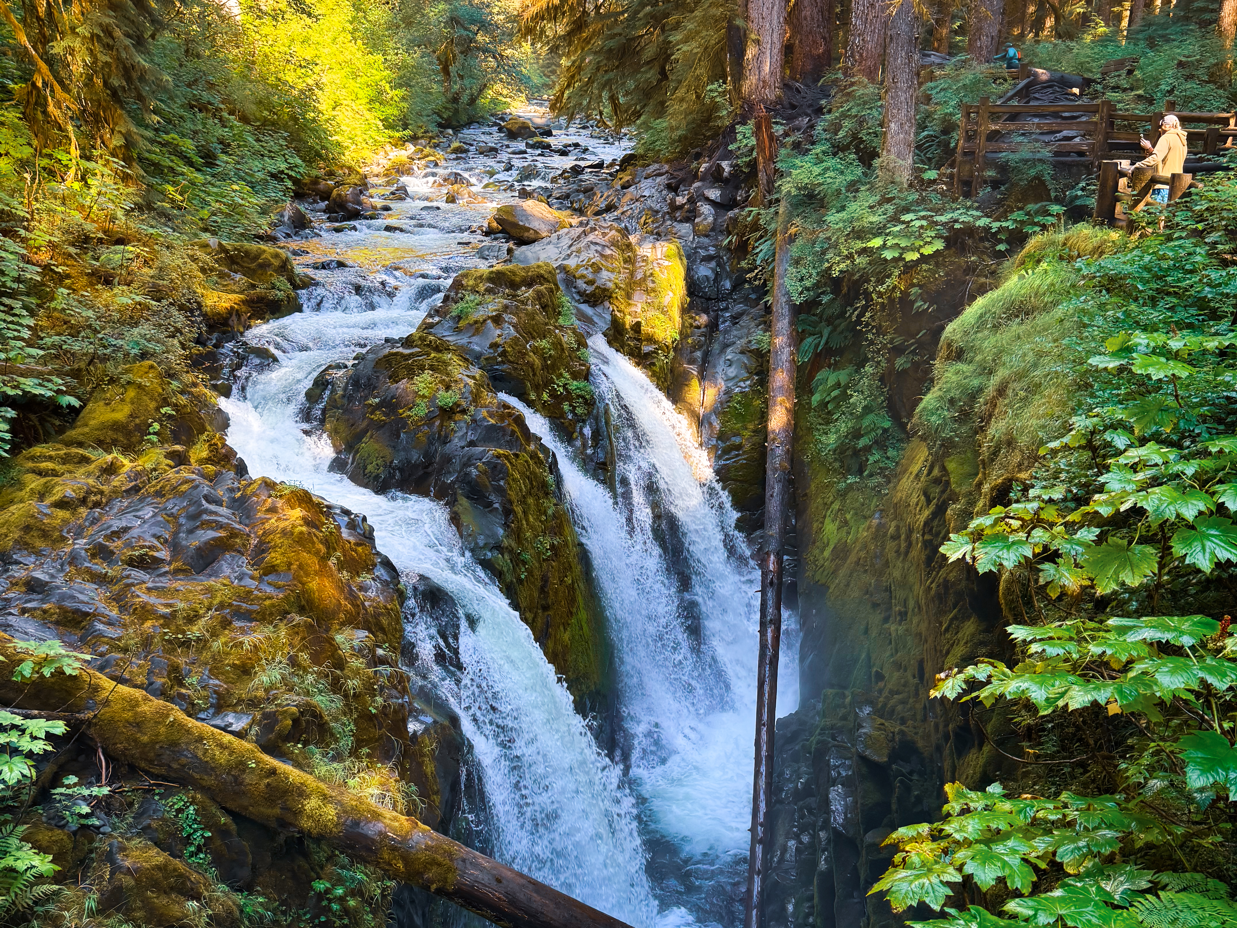 sol duc waterfall Olympic national park Washington state 