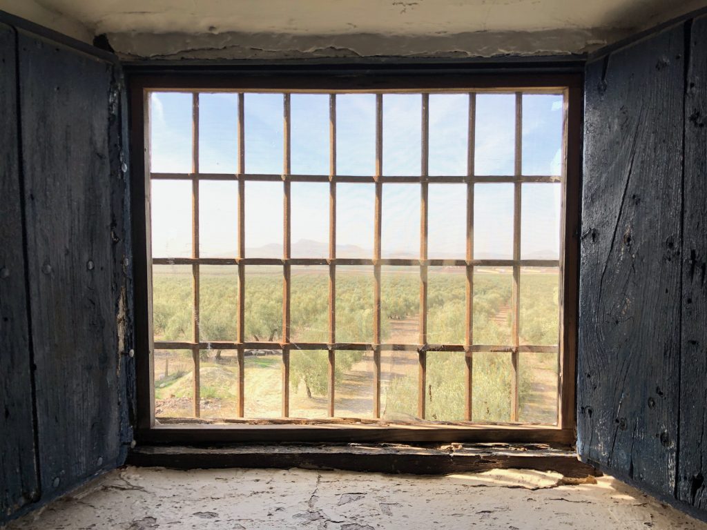 A rustic window opens to a landscape of olive trees, rolling hills, and a clear blue sky.