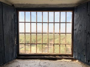 A rustic window opens to a landscape of olive trees, rolling hills, and a clear blue sky.
