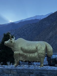 A golden yak statue set against snowy mountain cliffs under a cloudy blue sky.