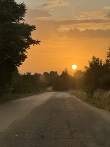 Sunset view over a rural road with the sun low on the horizon and trees on both sides.