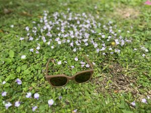 A brown sunglasses rests on a patch of green grass surrounded by small purple flowers. The scene captures the natural elements with soft focus on the background, emphasizing the sunglasses in the foreground.