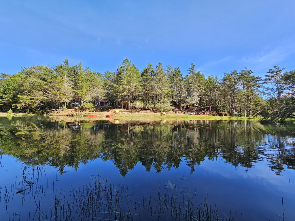 A tranquil lake reflects a blue sky and dense green trees lining the shore