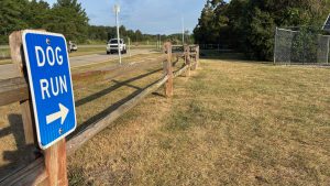 A grassy area on the right, with a wooden fence on the left. In the foreground a sign that says "Dog Run" with an arrow pointing to the grassy area.
