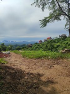 A scenic view of a hillside with several small, colorful houses positioned among lush greenery. The foreground features a dirt pathway lined with grass and scattered twigs. Mirinja Valley, Bangladesh