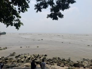 A serene riverside scene with two people sitting on a rock-lined shore under leafy tree branche