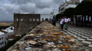 A textured stone railing covered with colorful lichen is in the foreground, slightly out of focus. In the background, a group of people walk along a checkered pathway lined with trees and buildings of white and gray, under a cloudy sky.