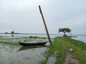 A picture of a wooden boat tied on a pole at wet land where a field full of water and some small growing plants are visible. On its side is a walking way of mud and grasses. At its end is a big tree and under it are few people. Brahmanbaria, Bangladesh.