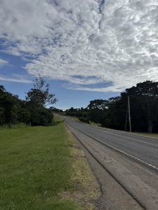 A view of a paved road with a grassy shoulder going uphill,flanked by trees and a field under a partly cloudy sky #SummerPhotoContest #RoadTrip #Uphill #Kenya #Travel
