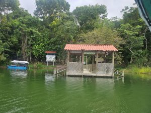 Wooden dock with a red-tiled roof and a “Bienvenidos” sign, floating on a green lake surrounded by tropical forest, with a covered boat anchored nearby. 
