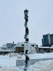 A lamp post covered in ice and icicles in a snowy landscape in Niagara, Canada.

