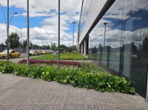 Urban photograph in Bogotá, Colombia, showing a row of yellow taxis parked next to a sidewalk with well-kept gardens and a modern glass building reflecting the blue sky with clouds. The image combines elements of transportation, contemporary architecture, and nature in the city
