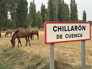 Close-up of a road sign reading ‘Chillaron de Cuenca’ with brown horses grazing in the background.
