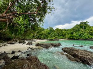 
Turquoise waters lap dark volcanic rocks and a small sandy beach in a jungle-fringed cove, framed by overhanging branches beneath a cloud-heavy sky.
