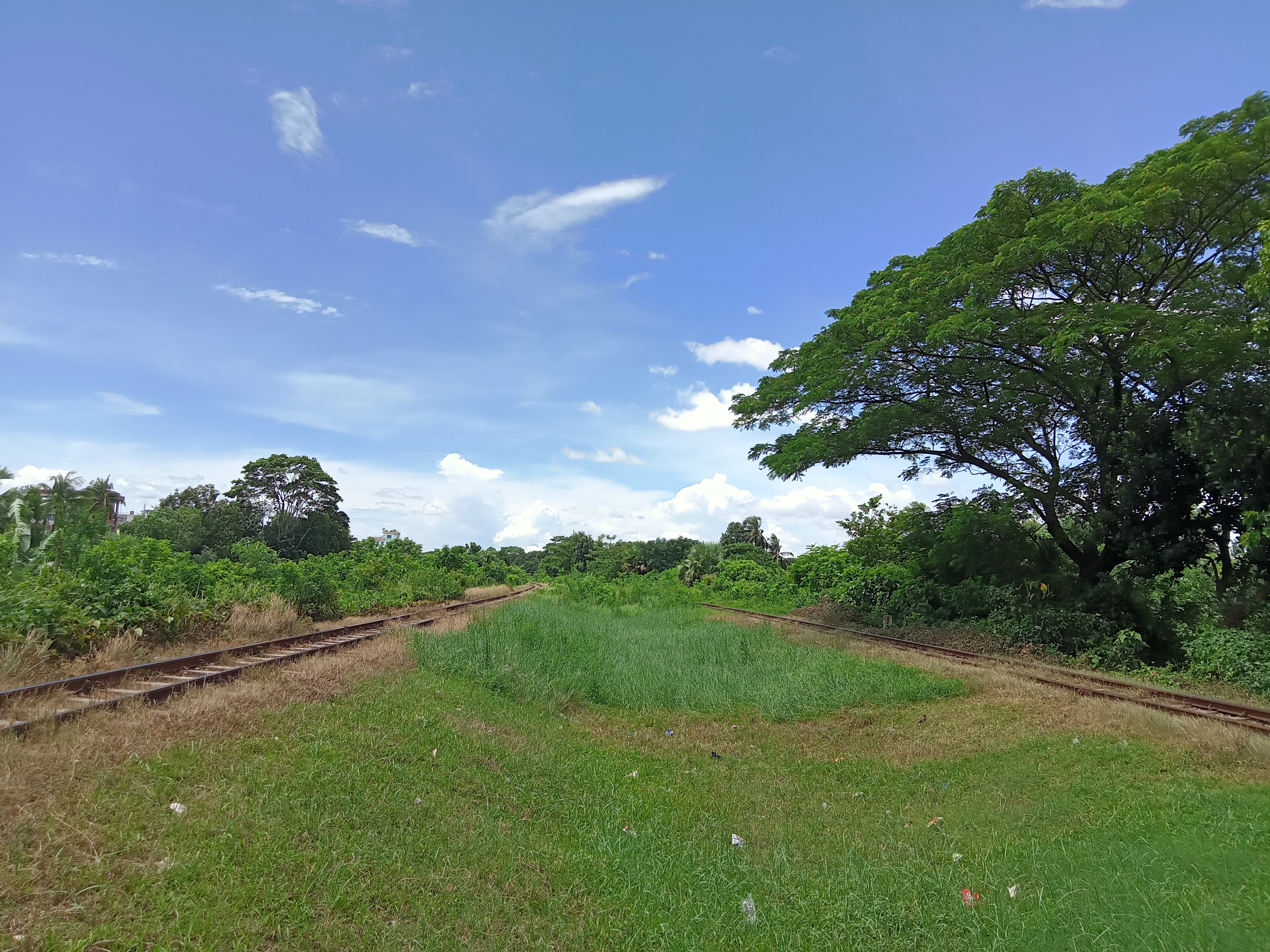 A tranquil rural landscape featuring two sets of disused railroad tracks diverging into lush greenery. On either side of the tracks, vibrant green grass and scattered wildflowers grow, with tall trees providing shade