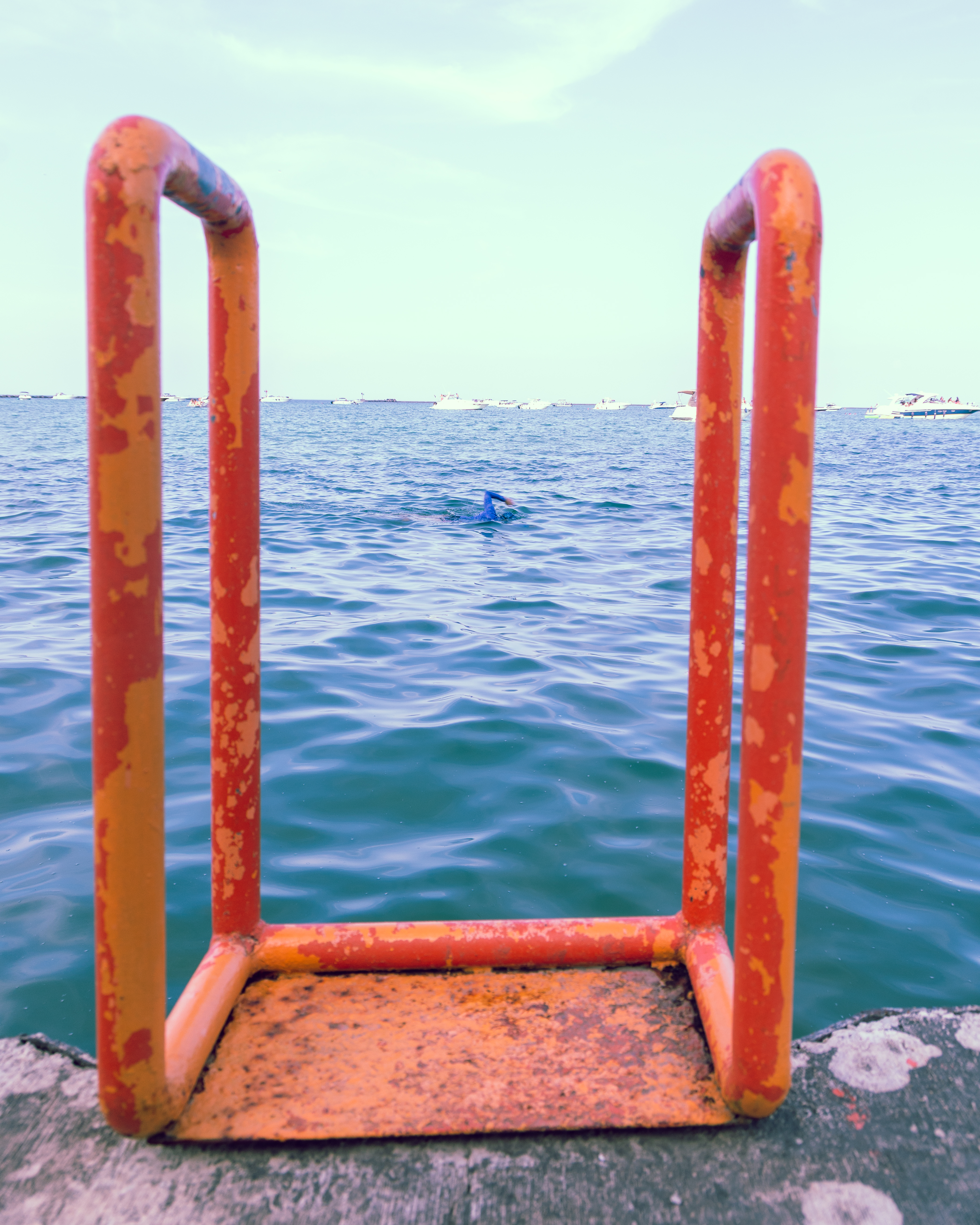 An arm raises from the water, swimming in the harbor framed by a weathered orange ladder that juts from a concrete pier, with a distant line of boats on the horizon. 