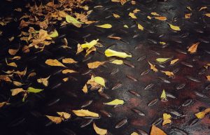 Leaves falling on metal steps