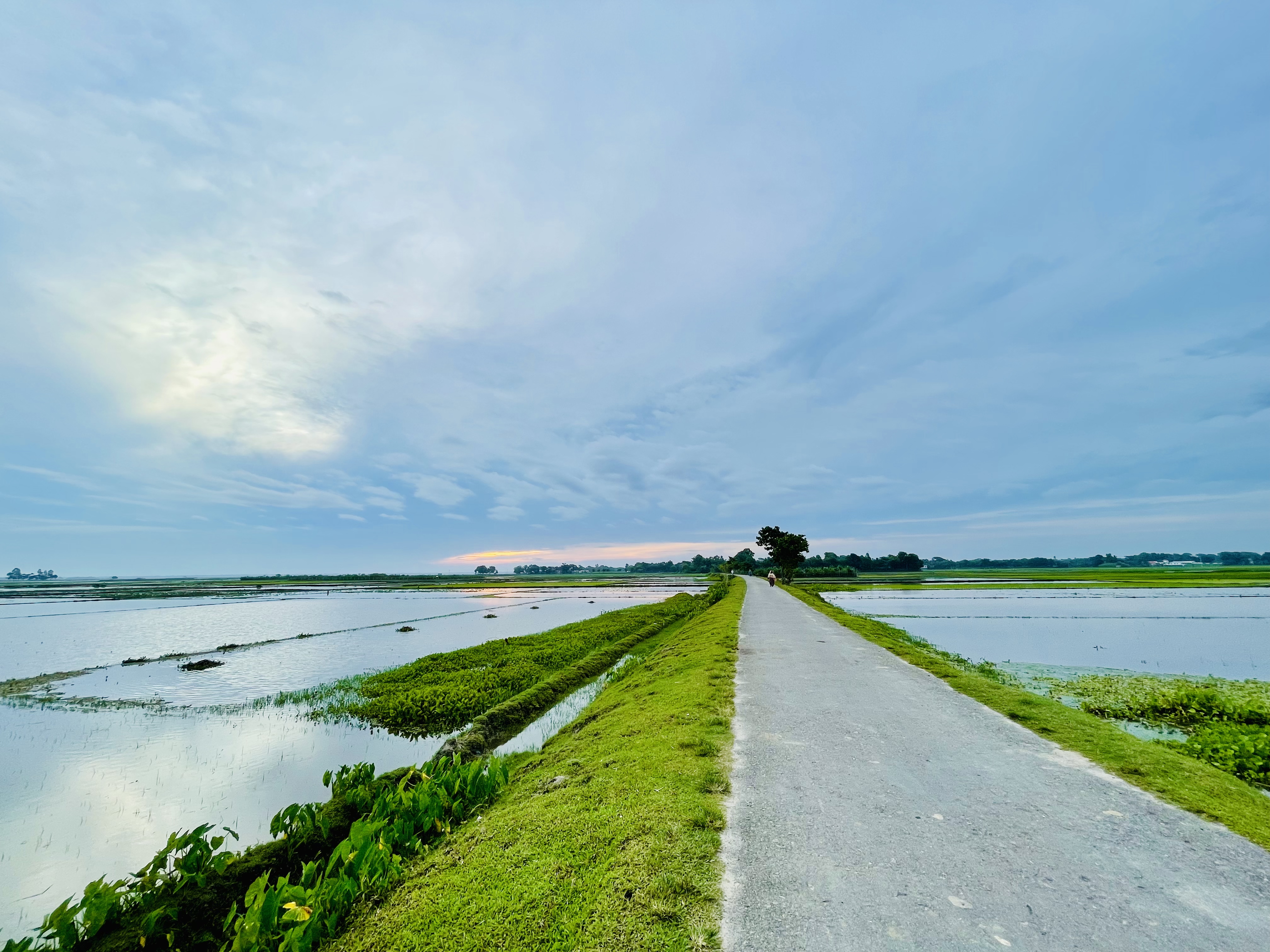 A long road with flooded rice paddies on either side under a cloudy sky.