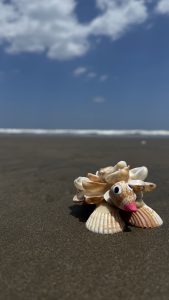 A decorative arrangement of seashells resembling a whimsical sea creature is placed on a sandy beach. The creature features a face with large, googly eyes and a small pink beak. In the background, the ocean waves can be seen
