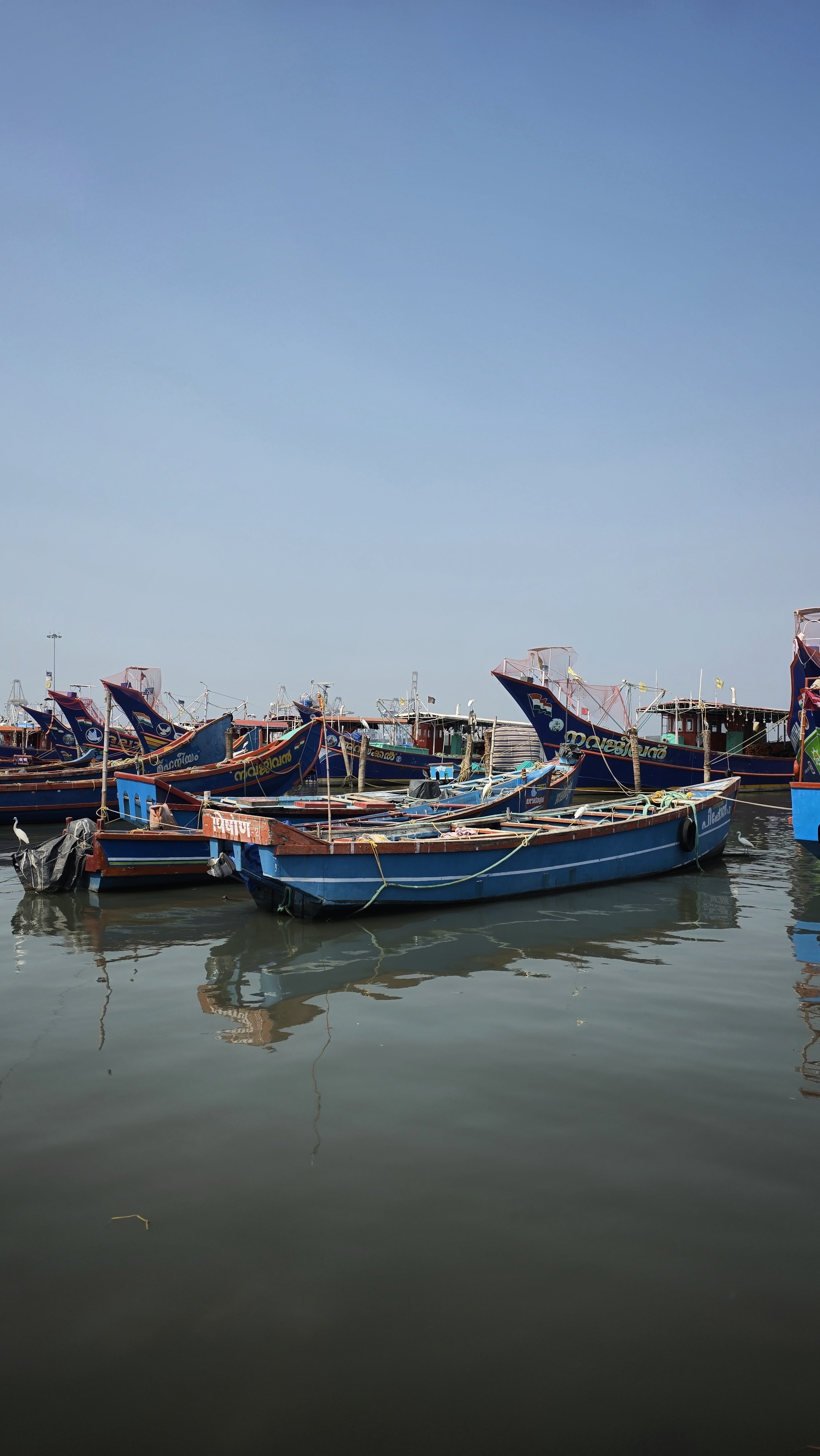Blue fishing boats anchored in a harbor in Kochi, Kerala, India, under a clear sky.