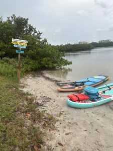 Two paddleboards resting on a beach in Florida.