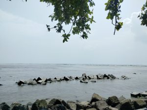 A serene view of a coastal area, featuring a calm body of water that stretches into the distance. In the foreground, a cluster of cube shaped concrete blocks juts out from the water, partially submerged and surrounded by seaweed.
