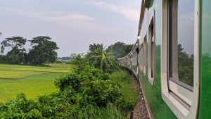 A green and white train is traveling along a curving track bordered by lush vegetation and rice fields. In the background, there are tall trees and a cloudy sky.