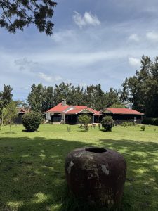 A photo of a house with a red roof, surrounded by green grass and trees under a partly cloudy sky. In the foreground is a large, weathered, brown ceramic pot