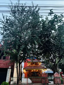 A small, ornate red and brown temple stands between two large trees. The temple's roof is decorated with a red top and it is surrounded by a low brick wall and a fence