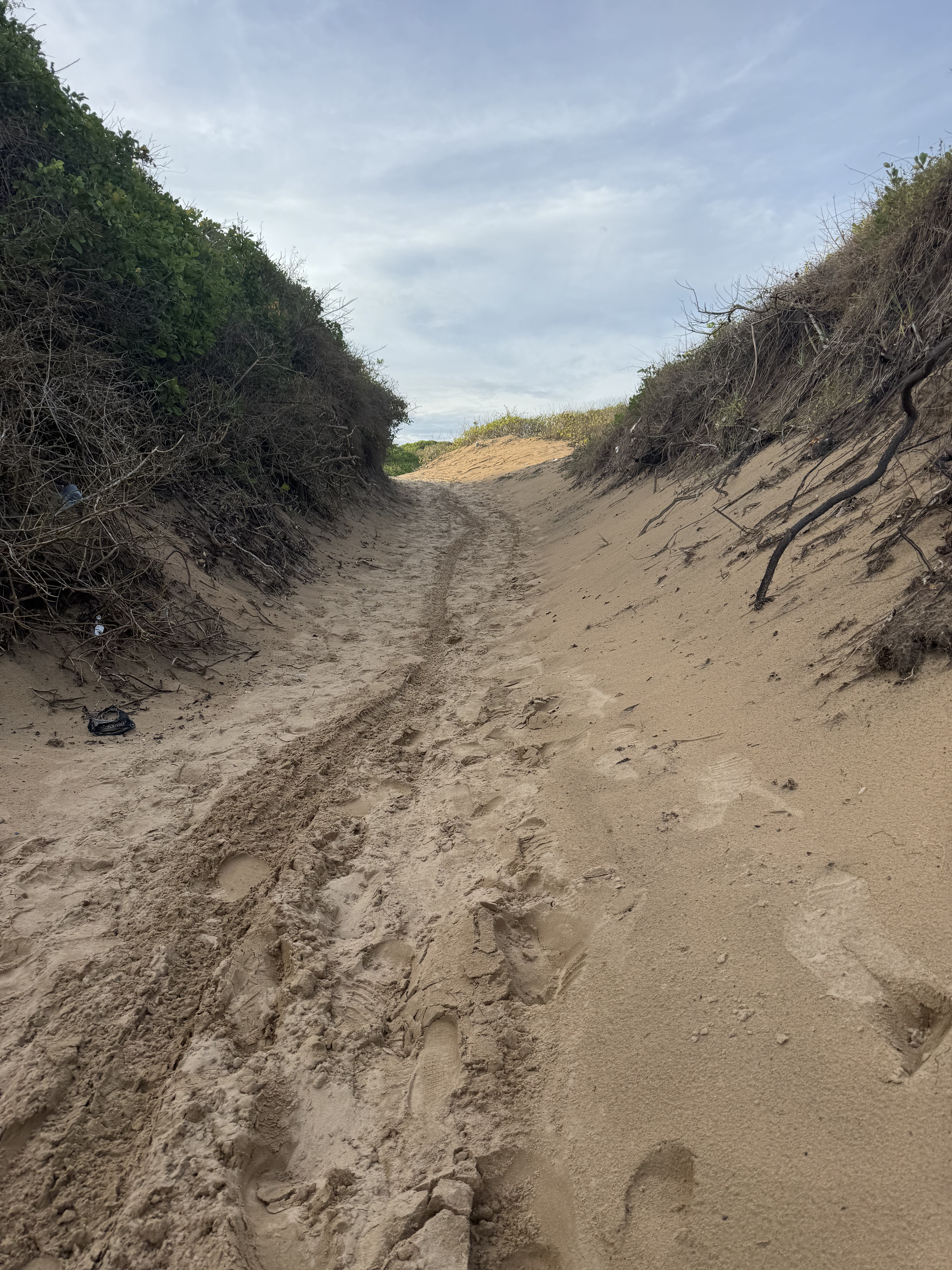 
Narrow sandy path bordered by dense greenery, marked with footprints and a central tire track, leading to a sandy opening beneath a cloudy sky.