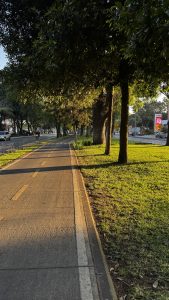 A sunlit pathway lined with trees and grass, leading along a road. The path has bike lane markings, and shadows cast by the trees create a serene atmosphere. 