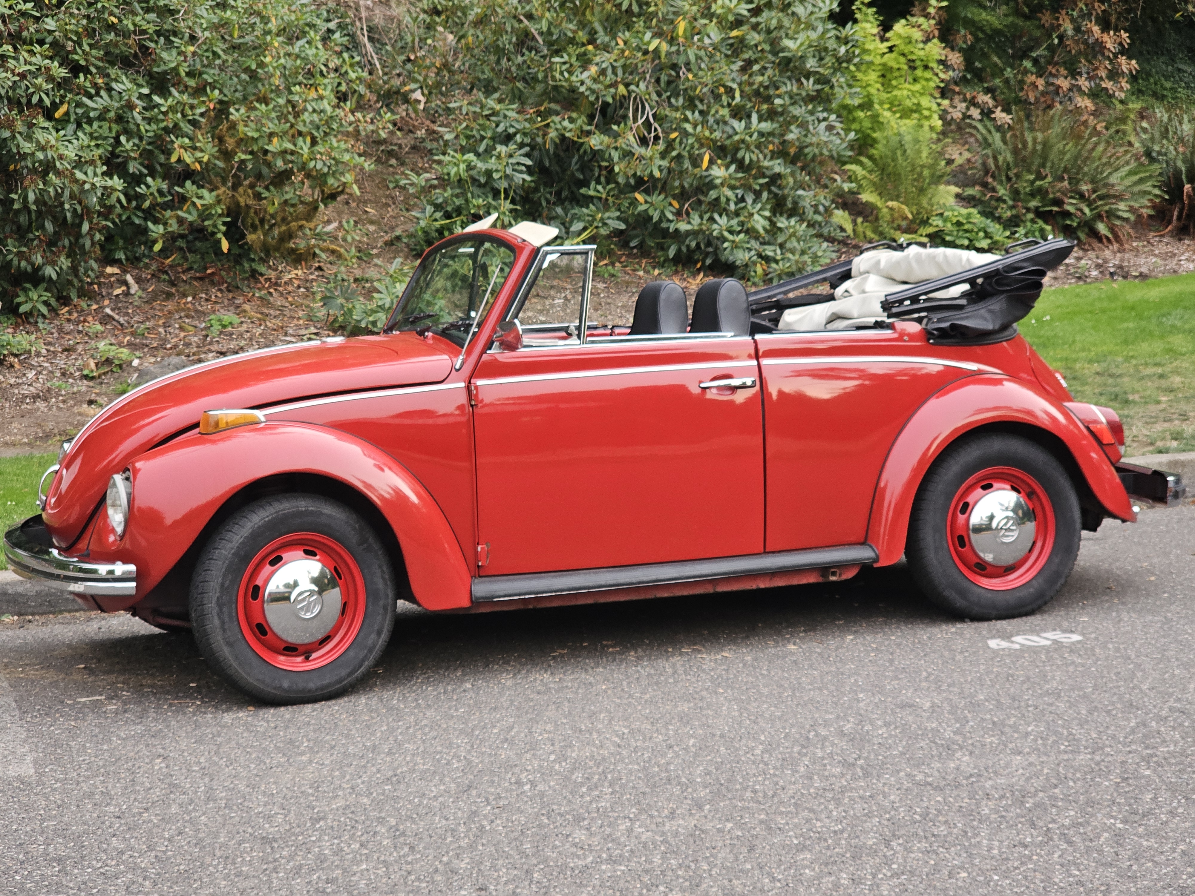 A classic red Volkswagen Beetle convertible parked along a tree-lined road in Washington Park, adding retro charm.