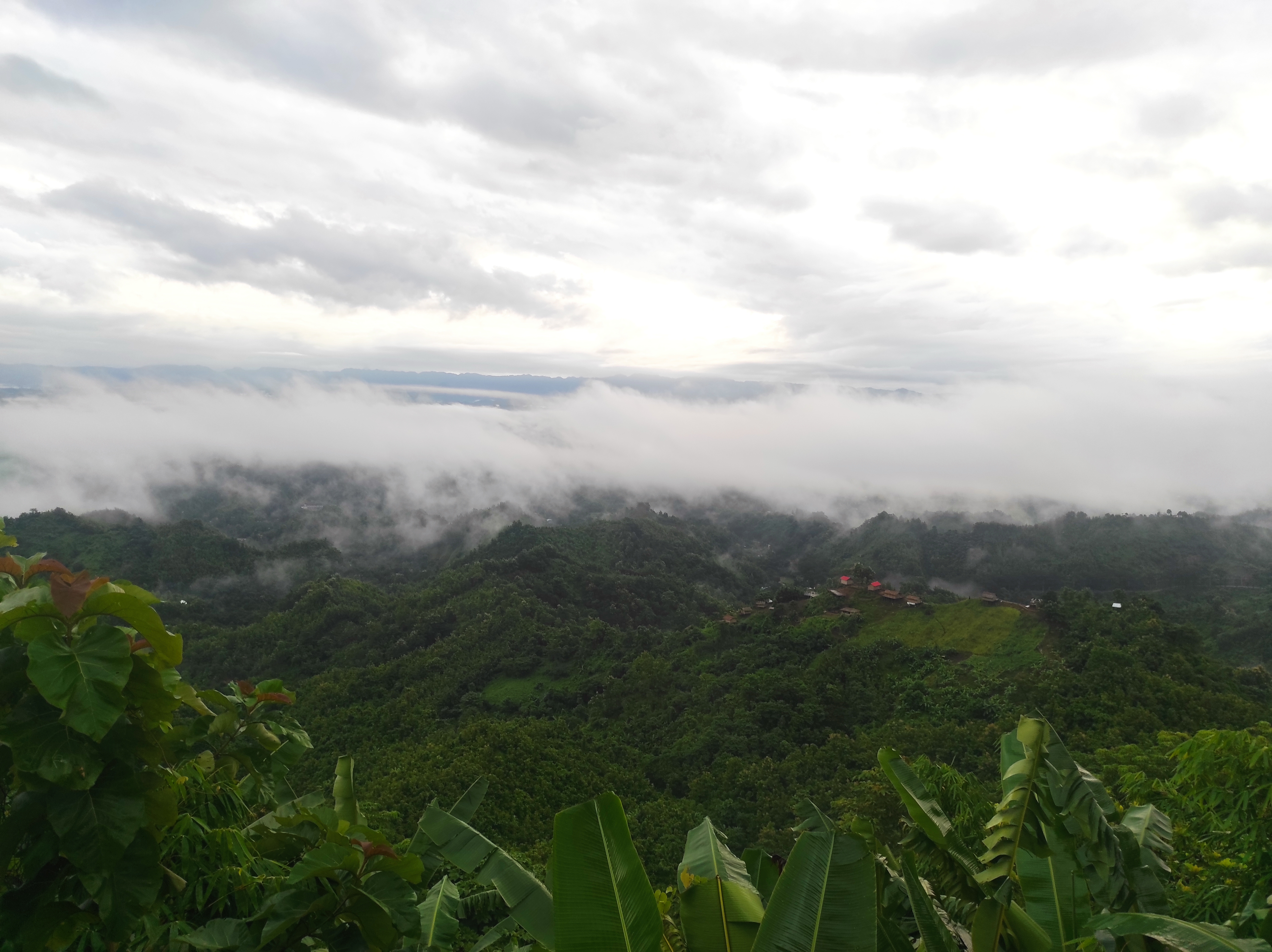 A view of a lush green valley in Lama, Bandarban, seen through a natural frame of dense foliage and large leaves. The hills are covered in thick trees and plants, and a cloudy sky is visible in the distance.